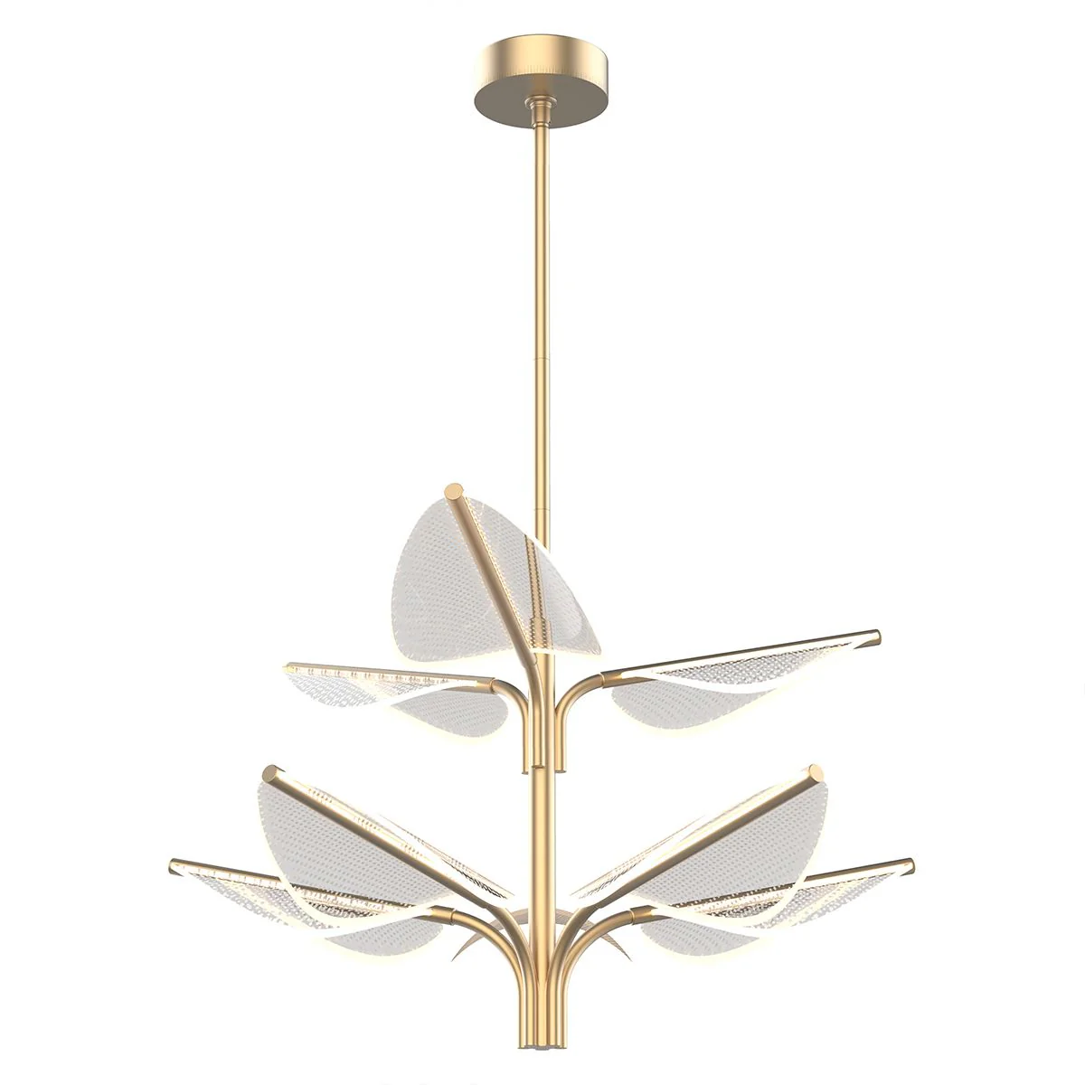 Immagine prodotto 8